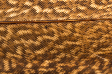 Beautiful Bright Black, White and Grayish with Stripes and Dots Feather Close up Detail Texture. Abstract Pattern Background