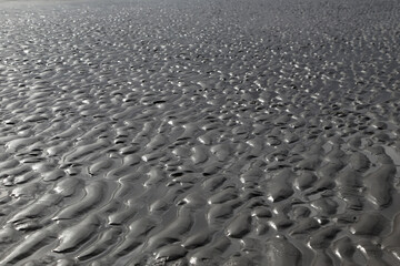Nordsee, Wattenmeer, detail aufnahme von Strand bei ebbe