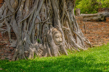 Old Temple, Mahathat Temple, Phra Nakhon Si Ayutthaya Province, Thailand