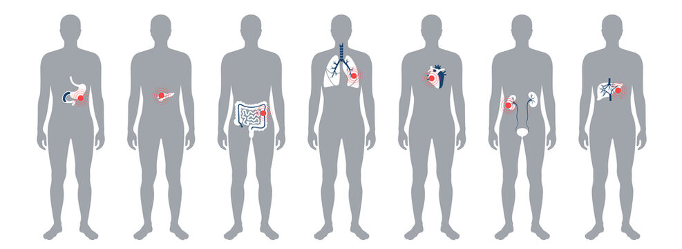 Pain in human body