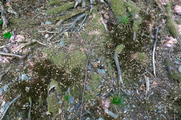Texturen.