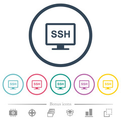 SSH terminal flat color icons in round outlines