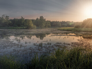 Fototapeta premium Beautiful sunset with sun rays over the Northern swamp