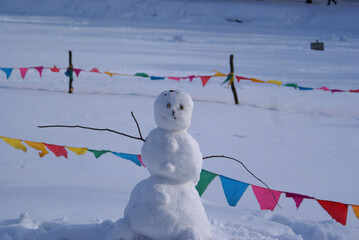 Funny snowman decorates the cold winter.SONY DSC