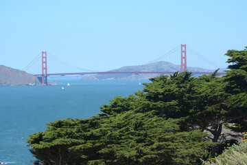 San Francisco California USA - August 17, 2019: Ocean view from Lands end Lookout
