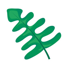 tropical leaf icon, colorful design