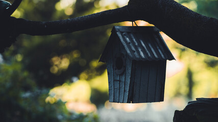 Birdhouse hanging from a tree