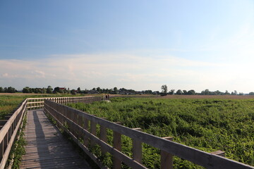 Kładki Waniewo - Śliwno, Narwiański Park Narodowy