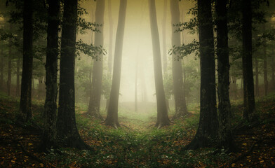 surreal woods landscape, symmetrical forest