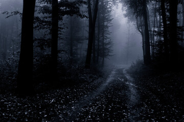 Obraz na płótnie Canvas dark road in forest fantasy landscape