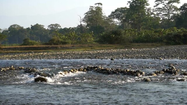 Murti river in the morning, riverbed in foreground with flowing water and stones. Scenic beauty of Dooars landscape, West Bengal, India. Slow motion footage.