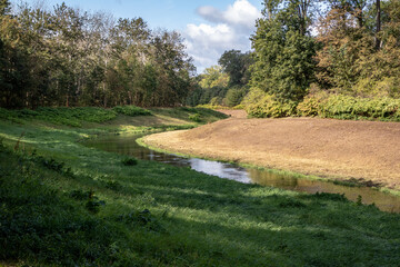 View from the jungle-like Leipzig Riverside Forest with the rivers Weisse Elster and Luppe with wild river landscapes, Germany