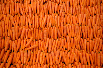 Carrot delicious red fresh ripe juicy healthy food texture pattern
