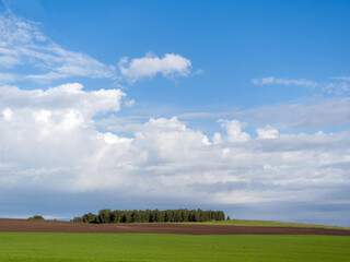 Fototapeta na wymiar Blue sky and clouds over green fields. Summer sunny day