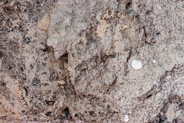 Background and texture of light stone