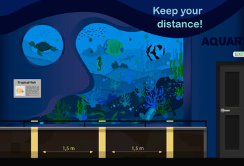 Vector illustration of the aquarium. An internal room with aquariums and markings for keeping the distance during quarantine and pandemics. Lines for visitors to the aquarium for a distance of one and
