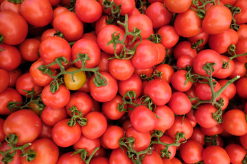 Tomato delicious red fresh ripe juicy healthy food