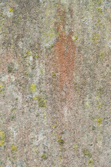 Natural pattern and texture formed on an old slab of stone