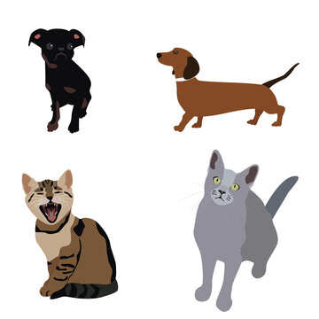 vector image. the illustration depicts four cute animals that are sitting in comfortable poses. Animals are different and with different colors
