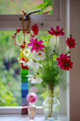flowers on the window