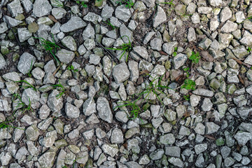 Textural and not evenly lit background of gray stones, among which grass grows.