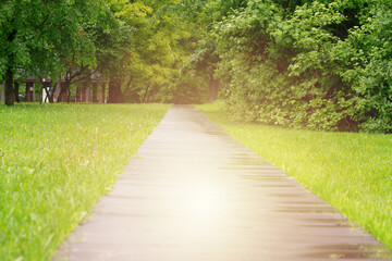 Fototapeta na wymiar Pedestrian path in the forest Park.