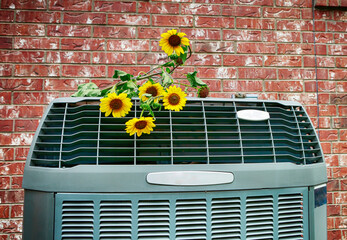 Close up of modern high efficiency air conditioner with wild yellow flowers. Bright HD image.
