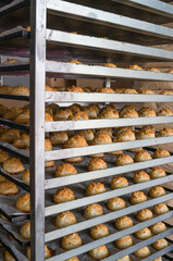 Fresh made coconut Sultanas on rack