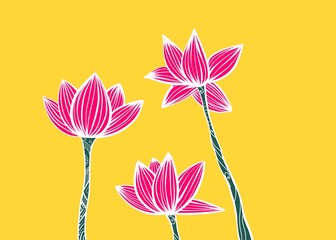 pink lotus flower yellow background  