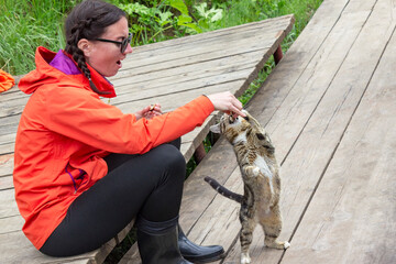 a young and beautiful girl in an orange jacket is playing with a small cat. favorite Pet and its...