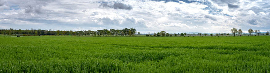 Fototapeta na wymiar Landwirt spritzt im Frühjahr seinen Getreidebestand mit einer Feldspritze gegen Blattfleckenkrankheit und Halmbruch. Landwirtschaftliches Symbolfoto.