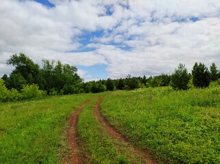 country road among green grass in a field near a forest against a blue sky with clouds