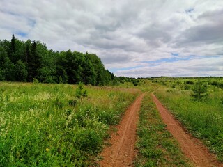 winding road in a field near a forest on a cloudy and gloomy sky