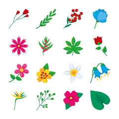 rose and tropical flowers icon set, colorful design