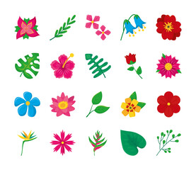 monstera leaf and tropical flowers icon set, colorful design