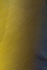 Beautiful Bright Blue and Yellow Parrot Feather Close up Detail Texture. Abstract Pattern Background