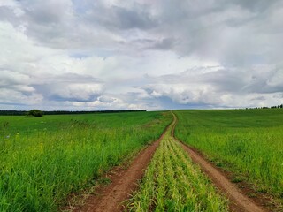 winding rural road among a green field against a cloudy sky