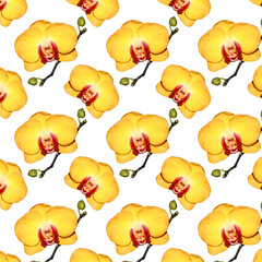 Seamless pattern of yellow Orchid flowers with closed buds. Isolate the Orchid.