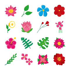 leaves and colorful flowers icon set, colorful design