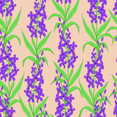 Seamless vector botanical pattern in ecologic style with hairy willowherb plant. Flowers and herbs. For textiles, fabrics, covers, wallpapers, print, wrapping gift