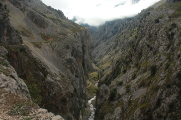 Obraz premium Ruta del cares, montaña con niebla / The Cares Route, mountain with fog (Asturias)