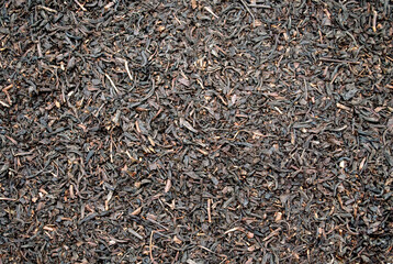 Fototapeta premium close up of black tea