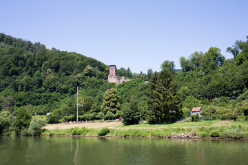 blick auf eine burg umringt von bäumen am neckar in heidelberg deutschland