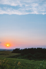 green field and blue sky before sunset