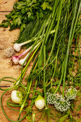 Set of fresh fragrant herbs for pickling. Dry spices, sea salt, ripe young onion and garlic