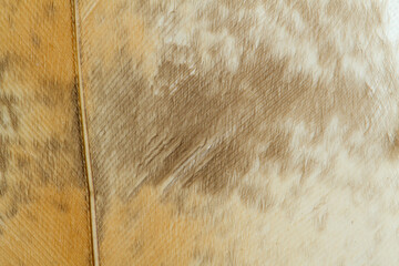 Beautiful Bright Brown, Orange, Black and White Barn Owl (Tyto alba) Feather Close up Detail Texture. Abstract Pattern Background