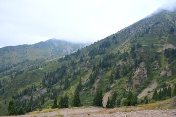 mountain road in the alps