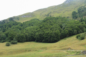 Obraz premium Mountain in la Vall d'Aran / montaña en la Vall d'Aran