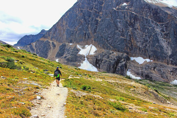 Man or hiker is walking on the path towards glacier and pond at Mount Edith Cavell trail - hiking in Jasper National Park, AB