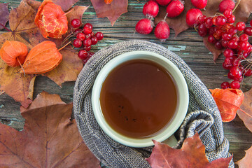 Cup of hot tea in knitted cloths on old wooden background with red berries, dry maple leaves. Top...